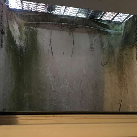 Kellerschacht reinigen